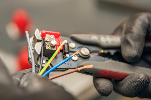Best Electrician for Home Renovation  in Federalsburg, MD